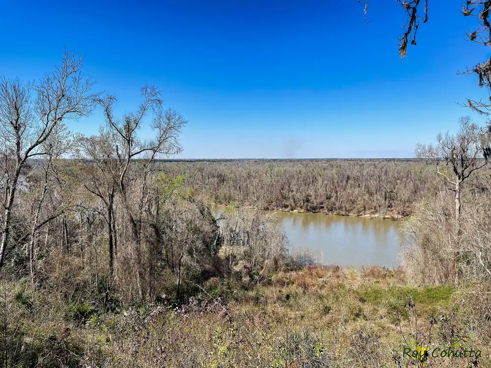Torreya State Park above the Apalachicola River