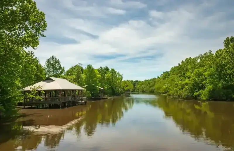 A covered wooden pavilion on pilings over still brown bayou water, framed by summer trees