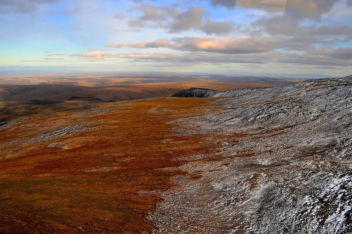 Fall color across the tundra below the Midnight Mountains, with early snow on the ridges