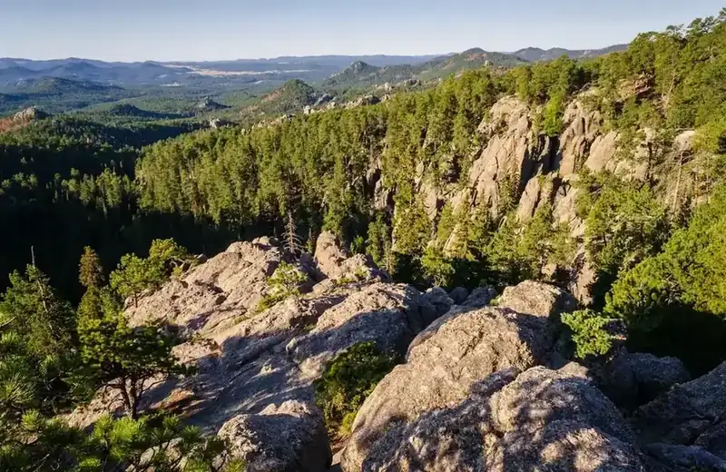 Pine forest and granite cliffs rolling away across the Black Hills