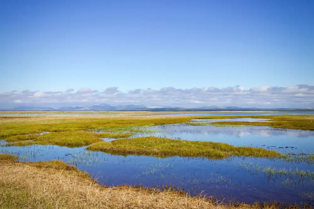Coastal lagoons at Cape Krusenstern