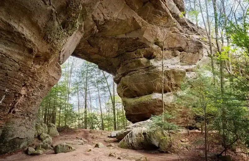 A massive sandstone arch standing over the forest floor, seen from below