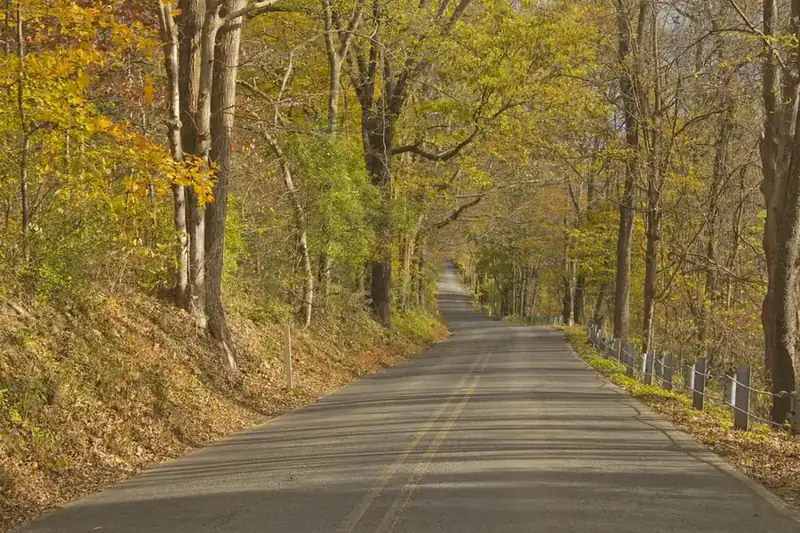 River Road running under a canopy of autumn trees in the Delaware Water Gap