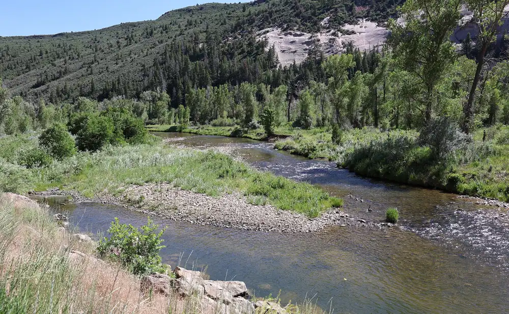 The Dolores River in its canyon