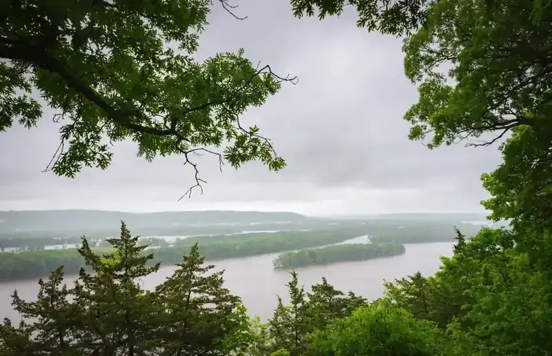 The Mississippi and its wooded islands seen through oak branches from a bluff