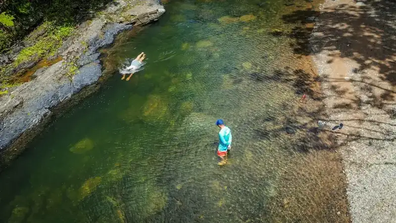 A clear pool on a river running through the El Yunque rainforest