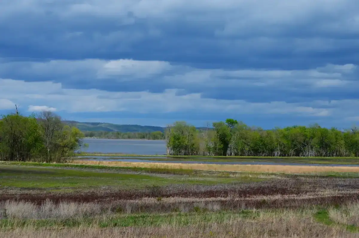Backwater and bottomland forest at Two Rivers National Wildlife Refuge