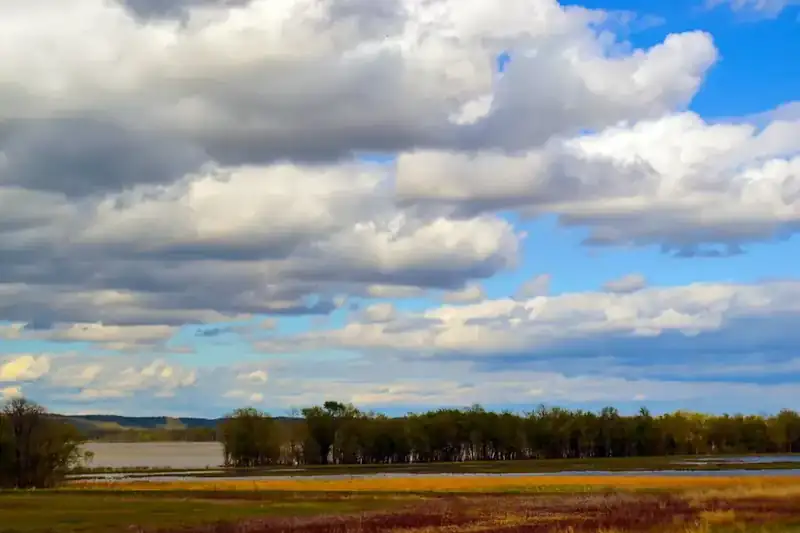 Wetland and open sky at Two Rivers National Wildlife Refuge