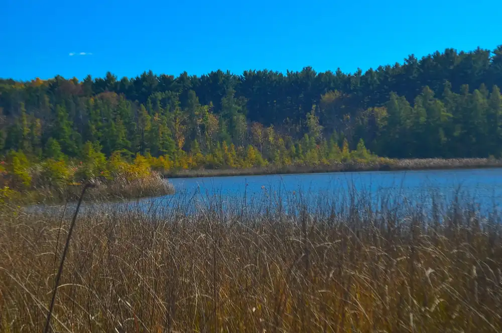 Spring Lake in the Kettle Moraine State Forest