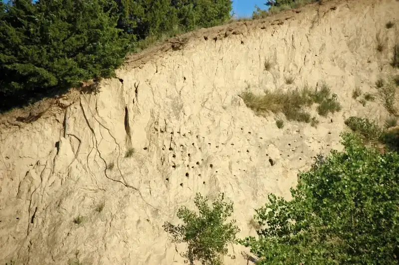 Wind-laid loess exposed in a steep bluff in western Iowa