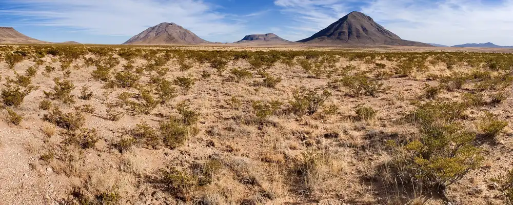 Grassland on southern Otero Mesa