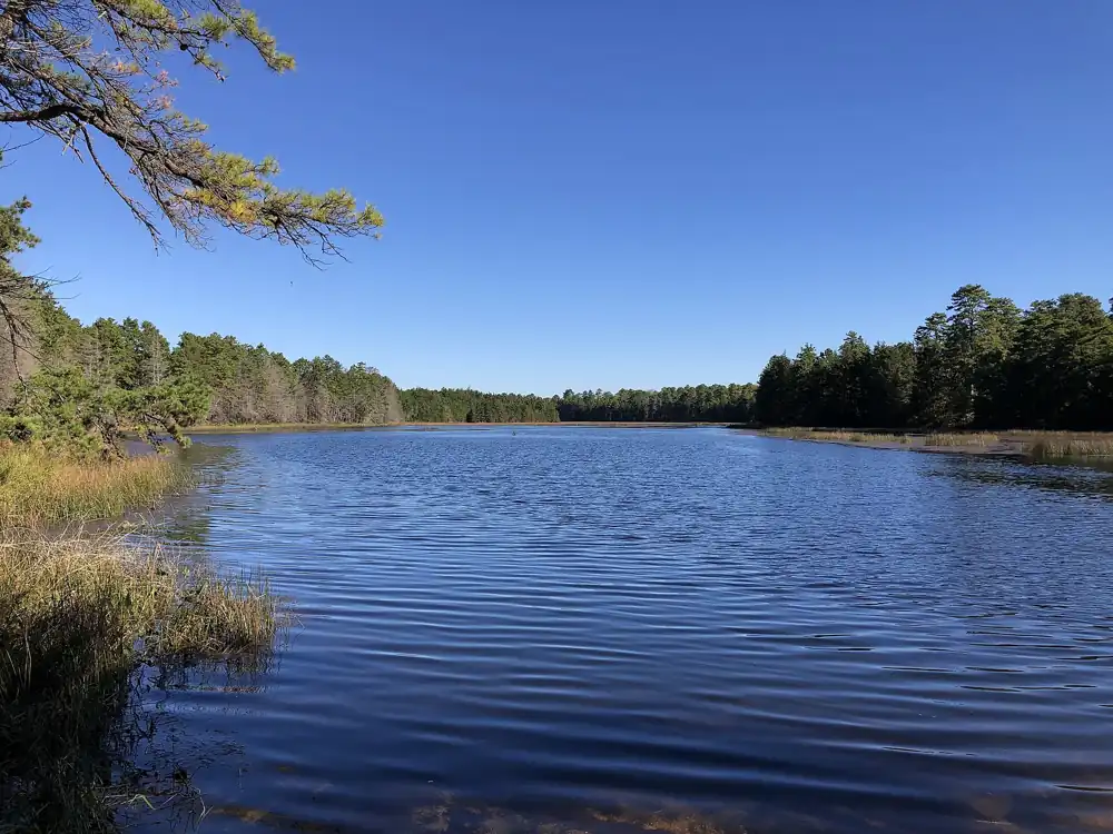 Batsto Lake in the Pine Barrens