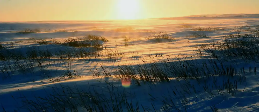 Prairie wetlands in North Dakota