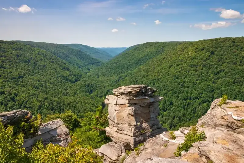 A sandstone outcrop on the rim above the forested Blackwater Canyon