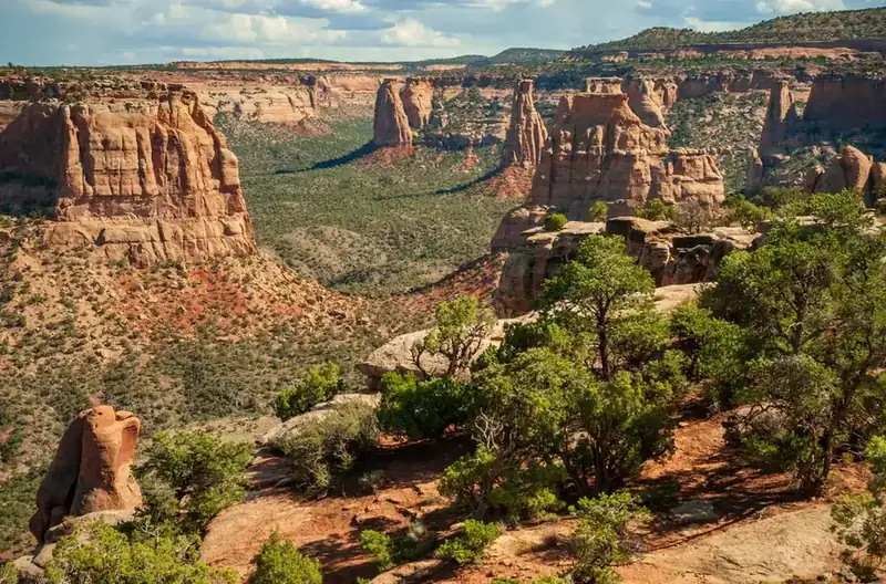 Sandstone monoliths standing in a side canyon, with junipers along the rim