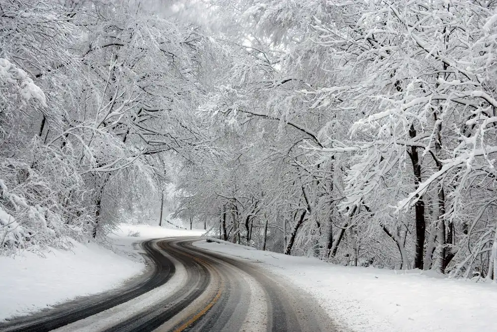 Rock Creek Park in Washington, D.C.