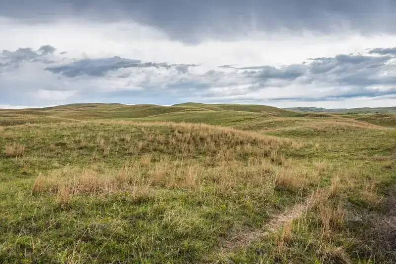 Rolling grass-covered dunes running to the horizon under a bank of storm cloud