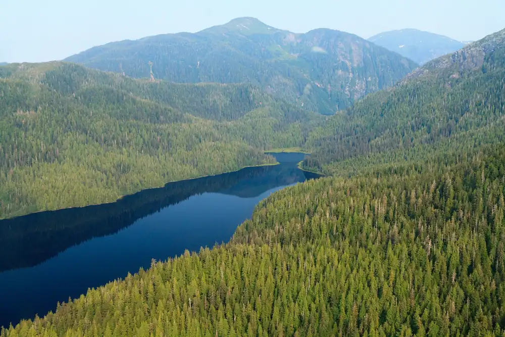 A lake among forested mountains in the Tongass National Forest